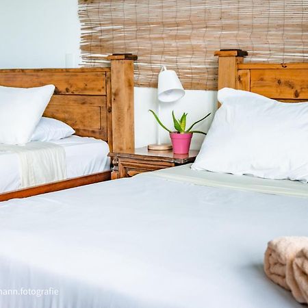 Lost In San Jose Hotel & Hostel Ngoại thất bức ảnh