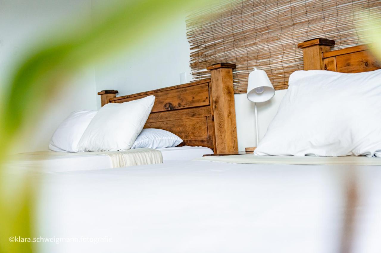 Lost In San Jose Hotel & Hostel Ngoại thất bức ảnh