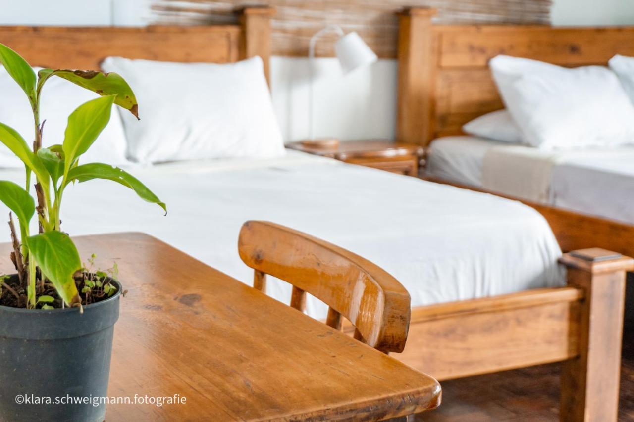 Lost In San Jose Hotel & Hostel Ngoại thất bức ảnh