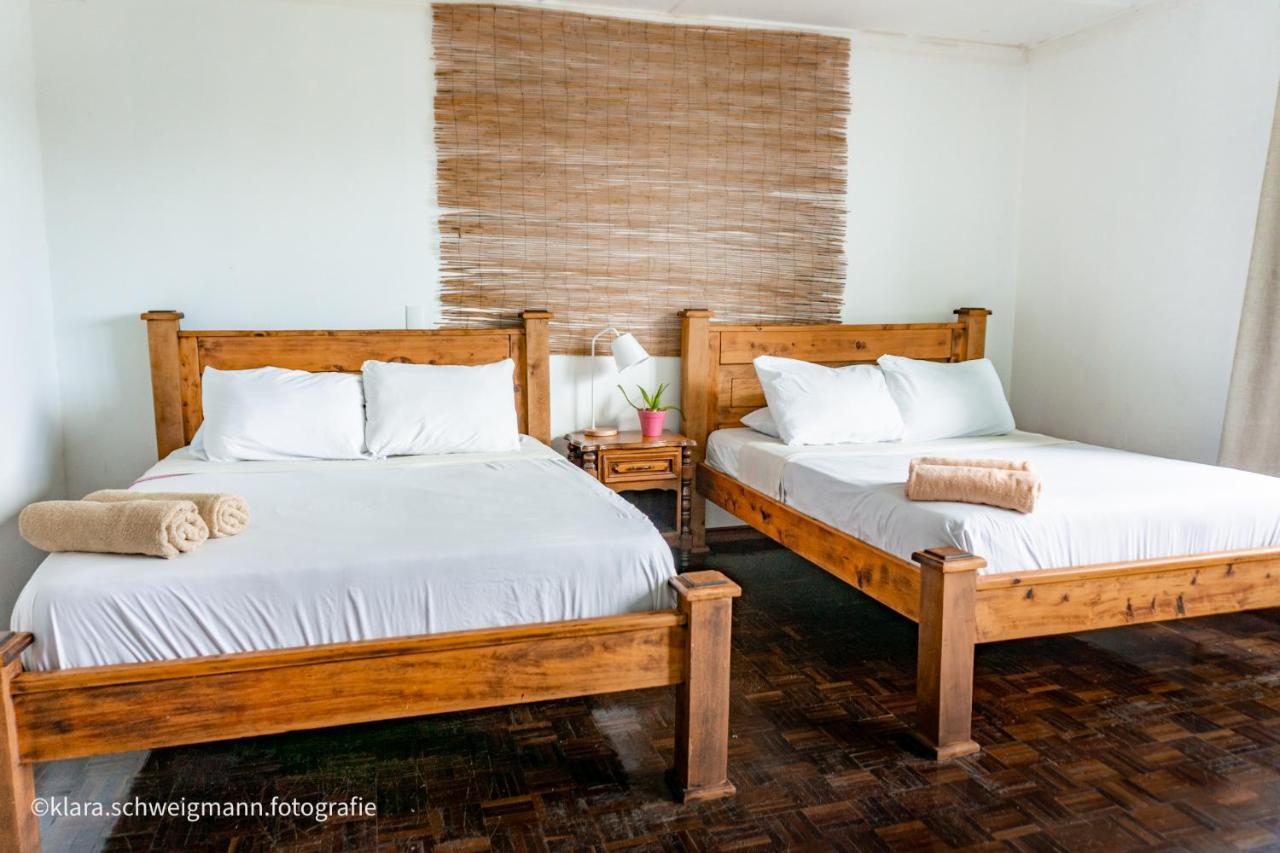 Lost In San Jose Hotel & Hostel Ngoại thất bức ảnh