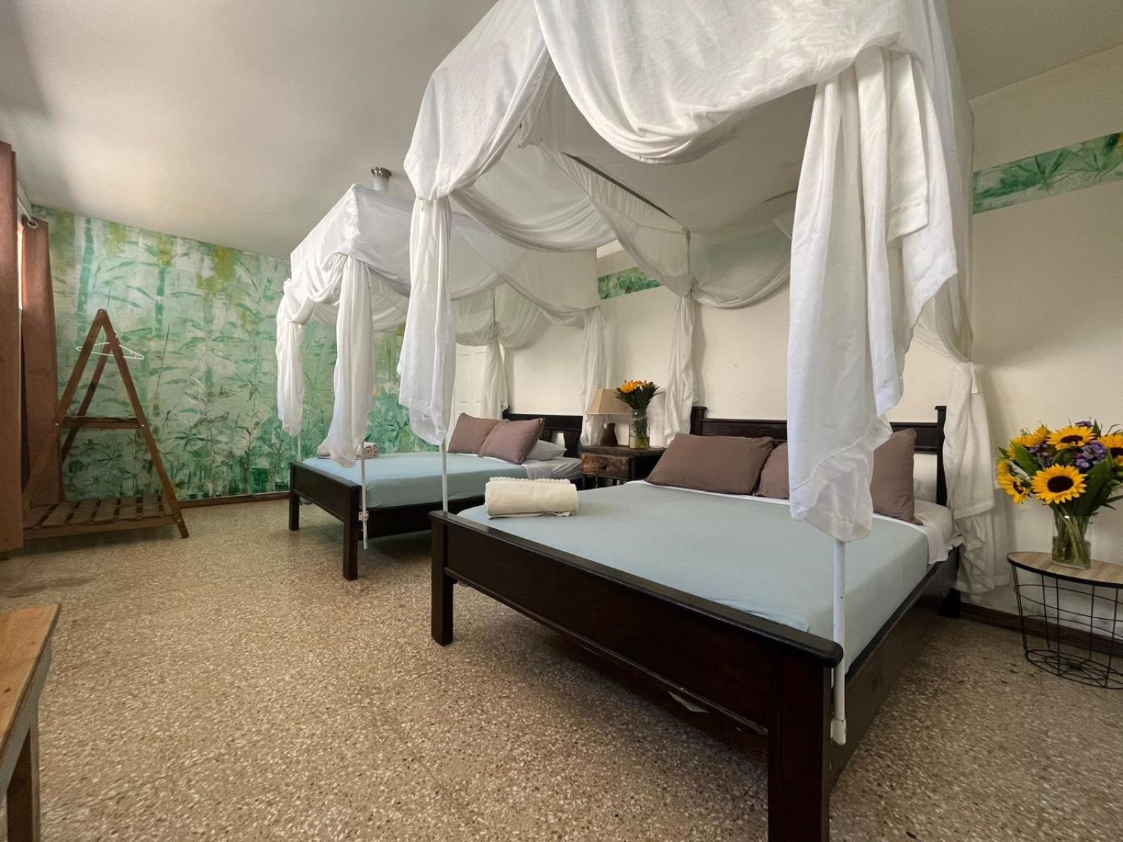 Lost In San Jose Hotel & Hostel Ngoại thất bức ảnh