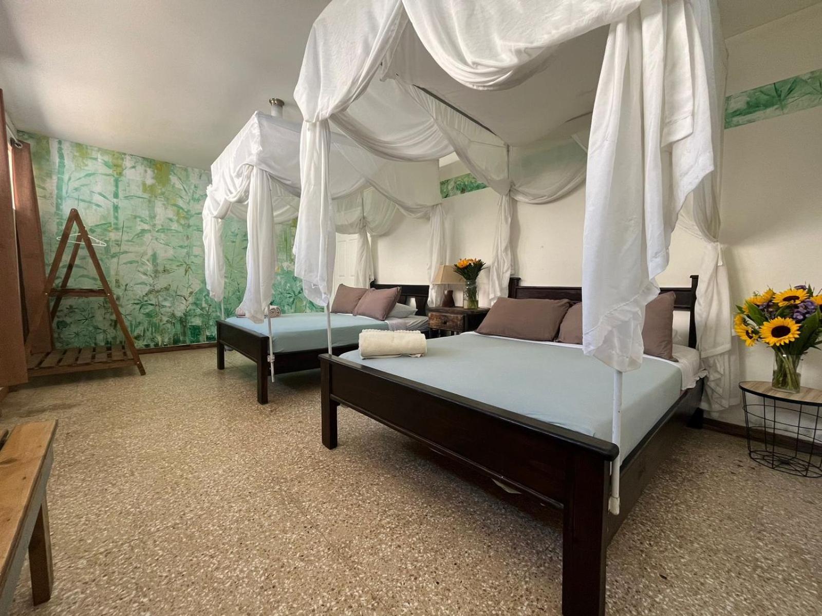 Lost In San Jose Hotel & Hostel Ngoại thất bức ảnh