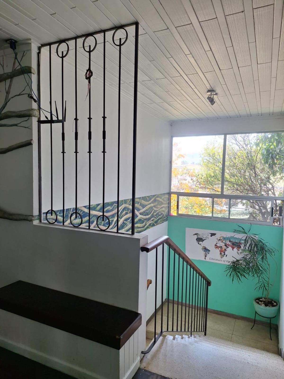 Lost In San Jose Hotel & Hostel Ngoại thất bức ảnh