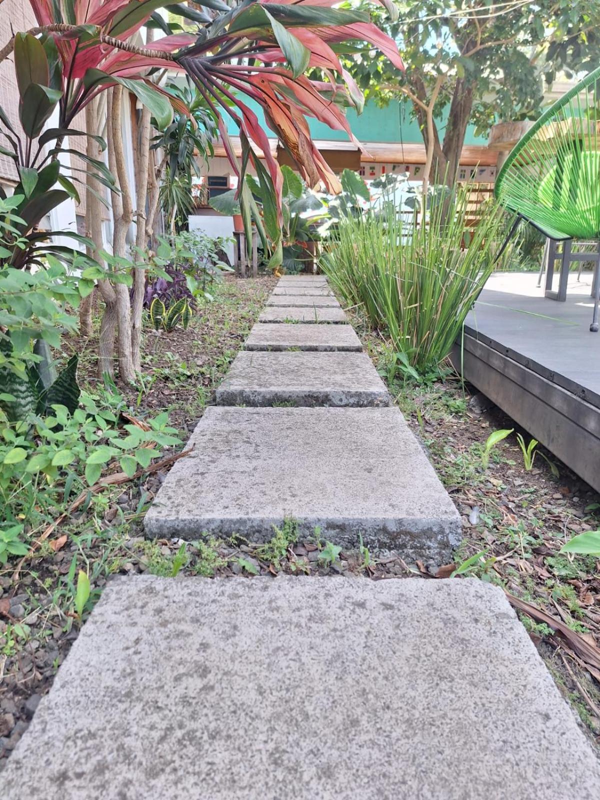 Lost In San Jose Hotel & Hostel Ngoại thất bức ảnh