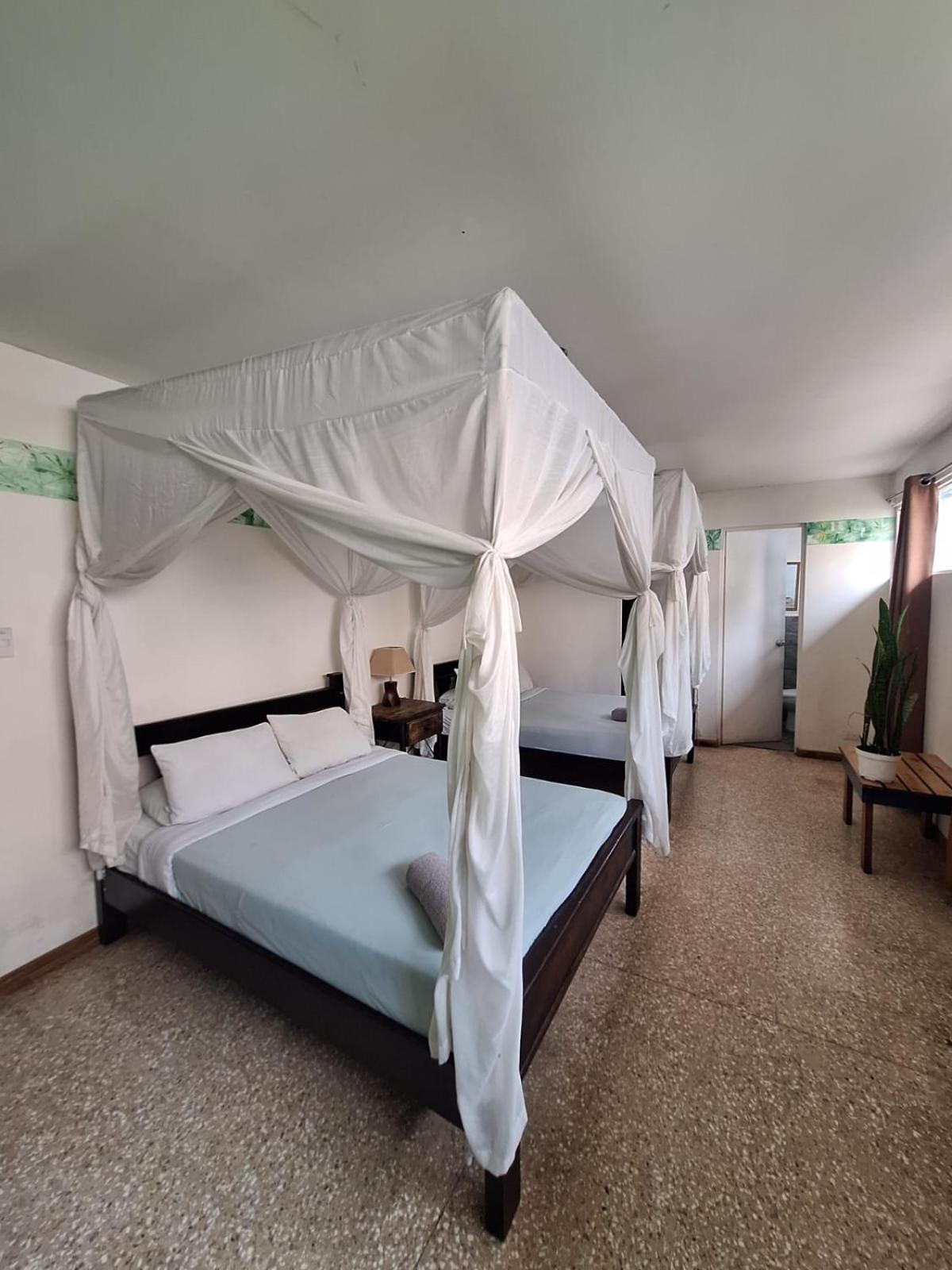 Lost In San Jose Hotel & Hostel Ngoại thất bức ảnh