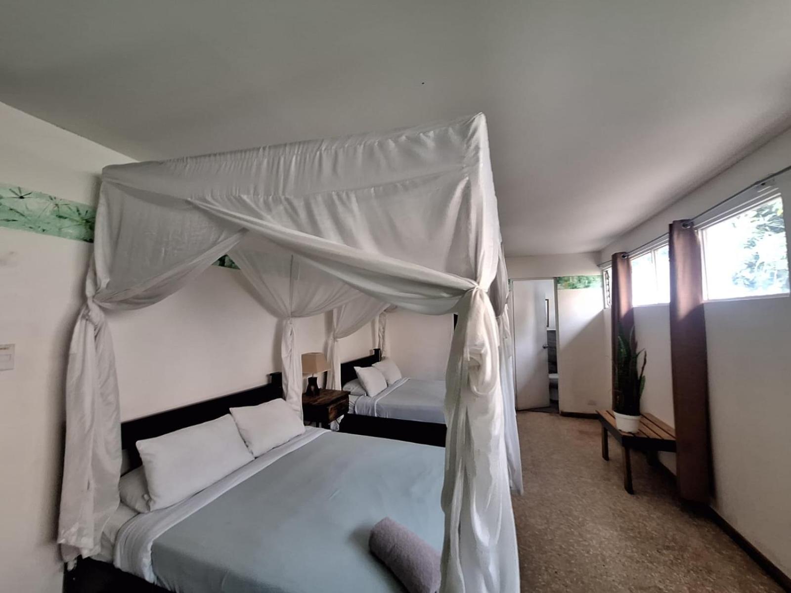 Lost In San Jose Hotel & Hostel Ngoại thất bức ảnh